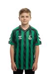 Sakaryaspor Çubuklu Çocuk Forma 2024-2025