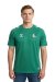 Sakaryaspor Erkek Yeşil Antrenman T-Shirt